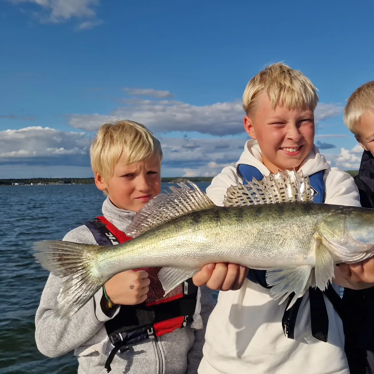 Zander caught on Fishbrain