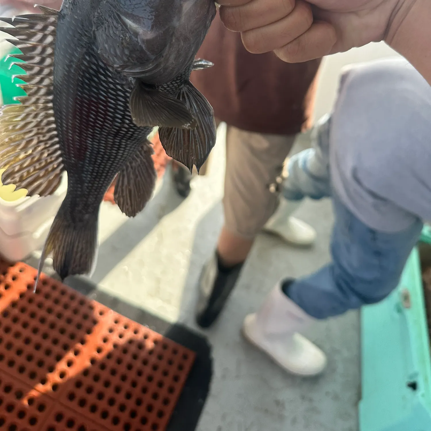 catch