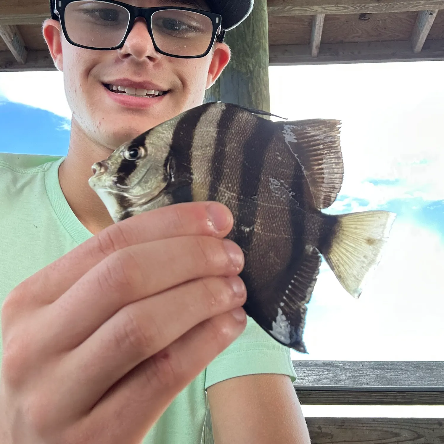 Atlantic spadefish caught on Fishbrain