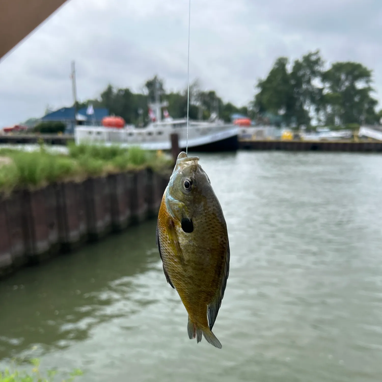 catch