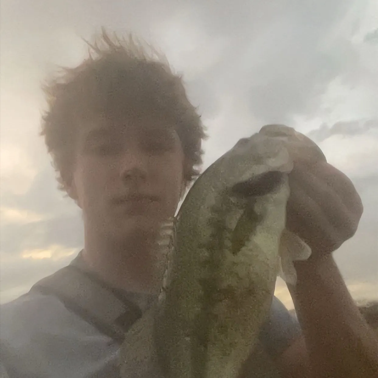 The most recent Zebra fish catches on Fishbrain