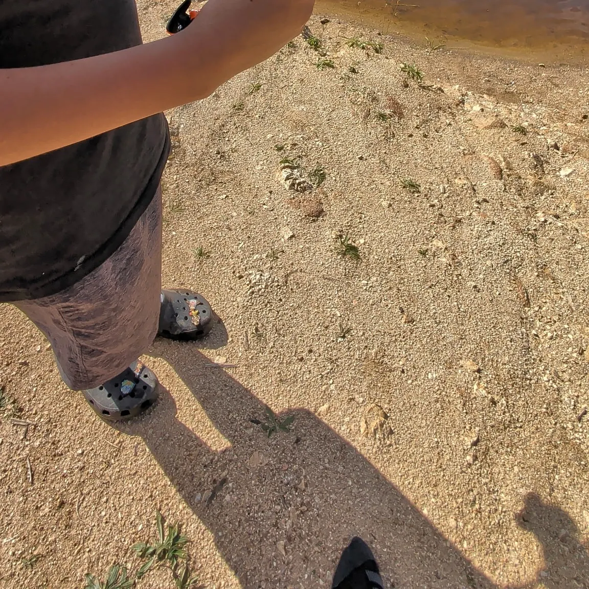 The most recent Hornyhead chub catches on Fishbrain