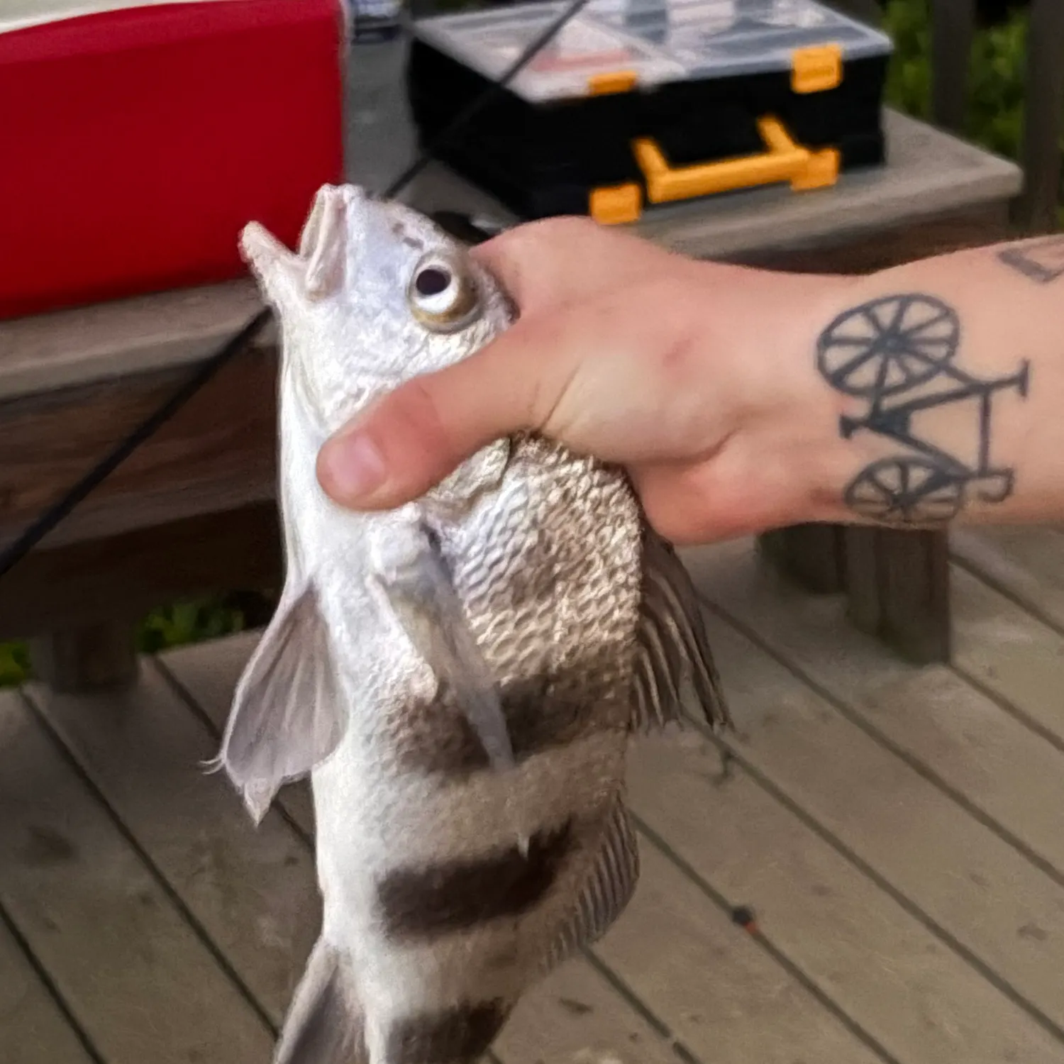 catch