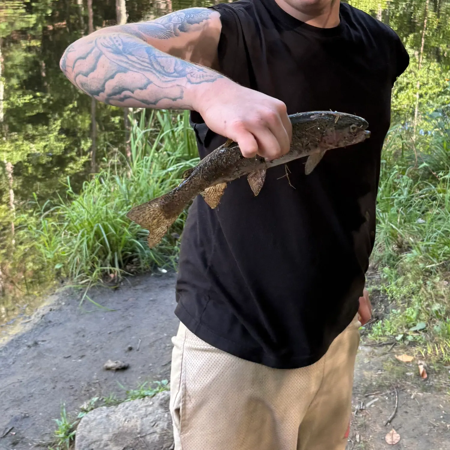 Rainbow trout caught on Fishbrain