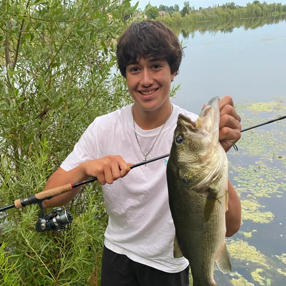 Largemouth bass caught on Fishbrain
