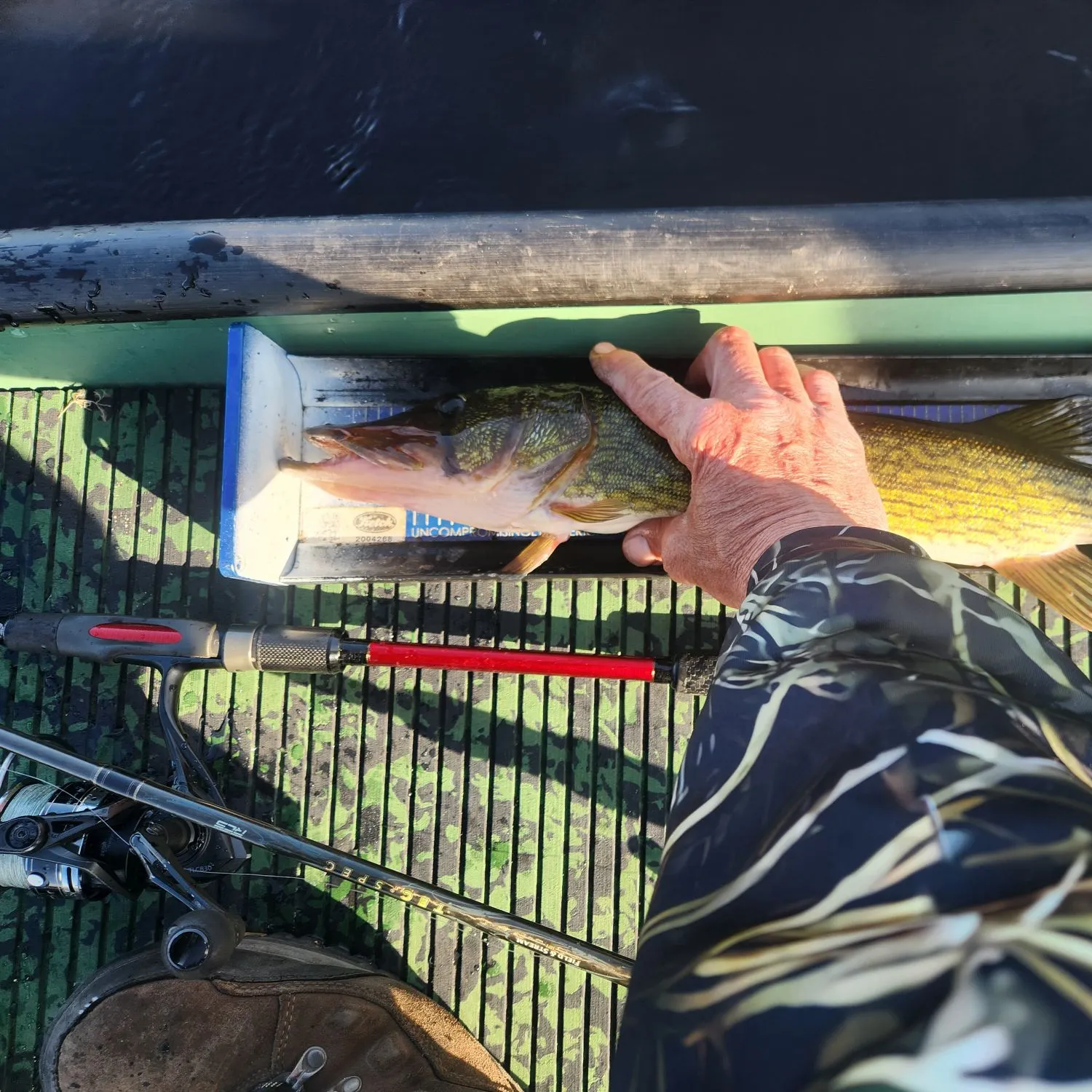 catch
