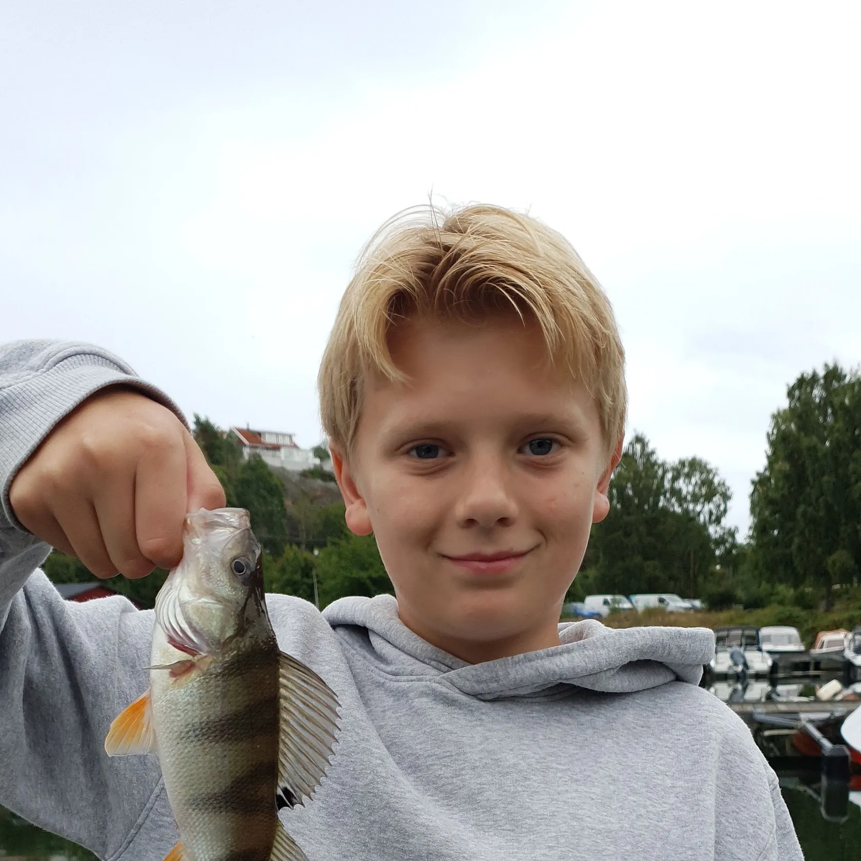 European perch caught on Fishbrain