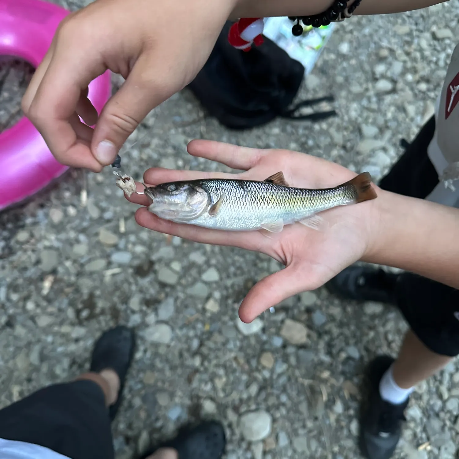 catch