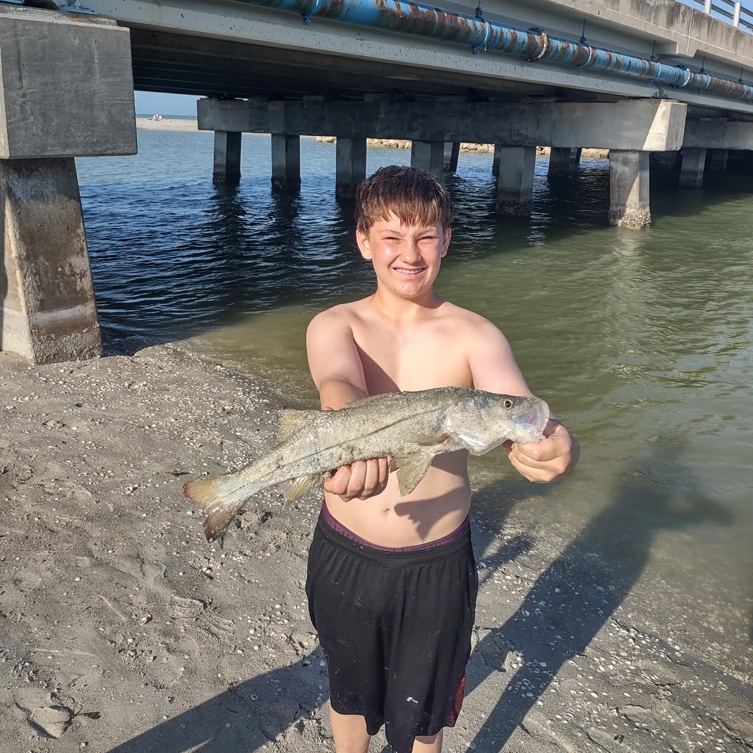 The most recent Common snook catches on Fishbrain