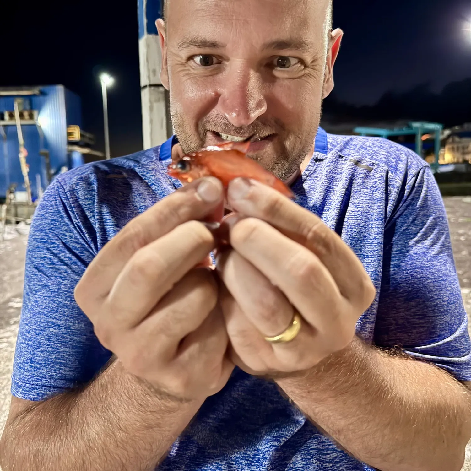 The most recent Mediterranean cardinalfish catches on Fishbrain