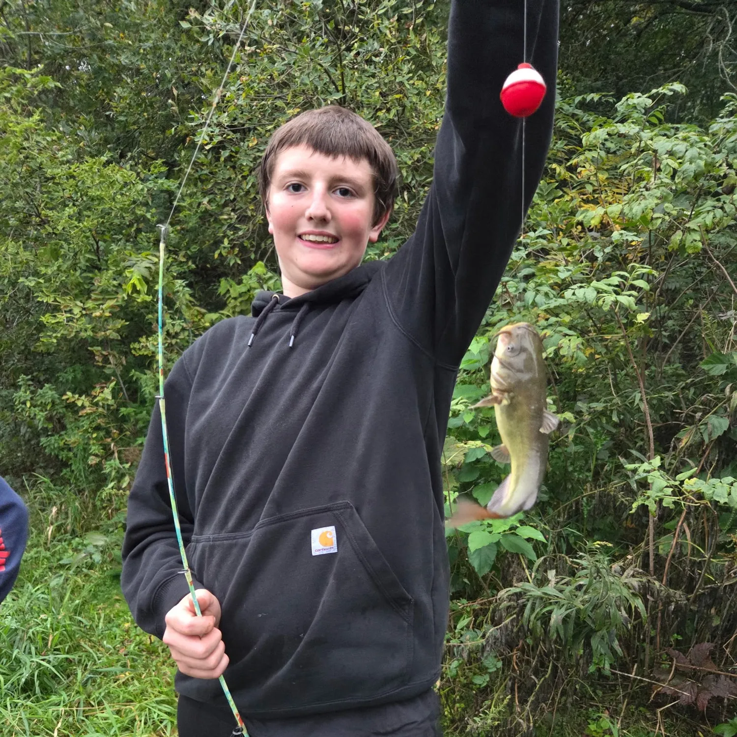 Yellow bullhead caught on Fishbrain
