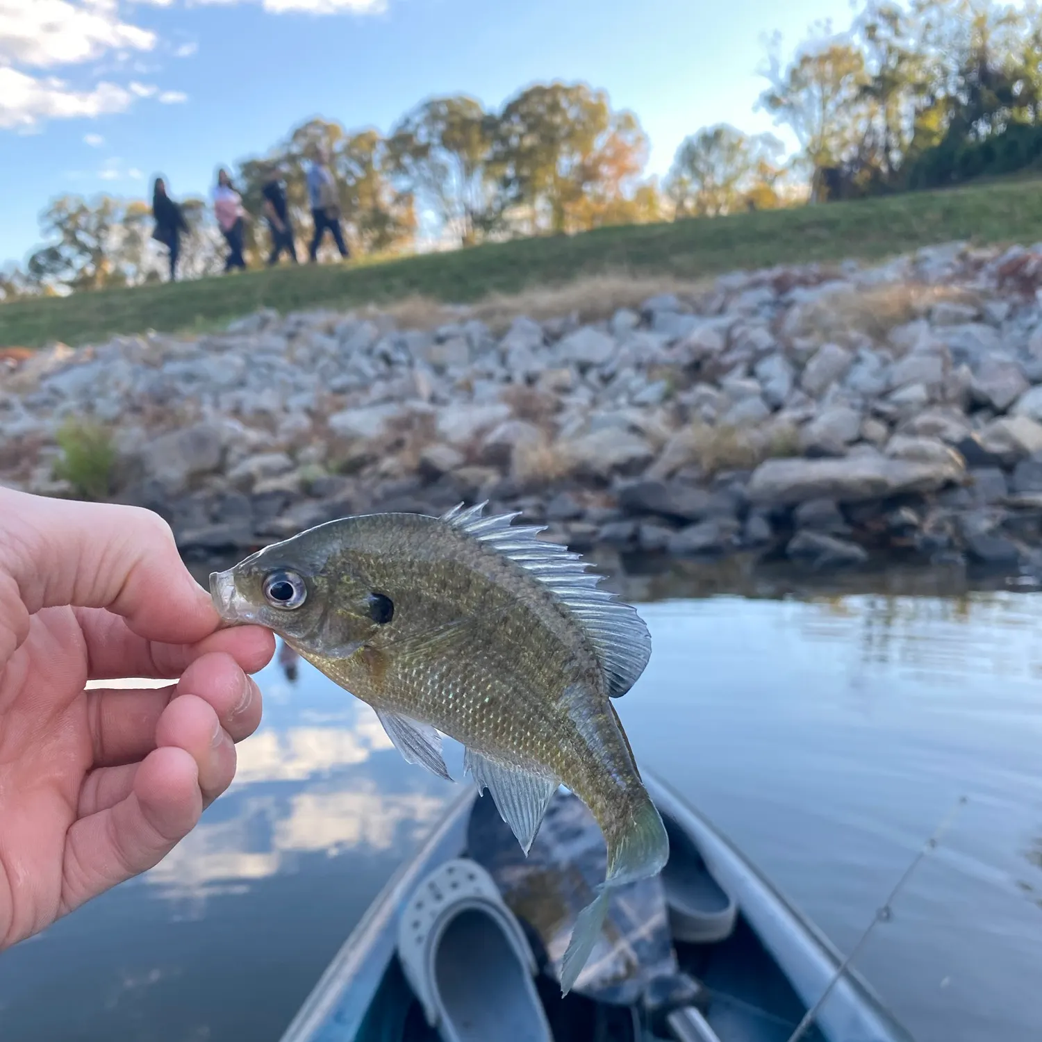 catch