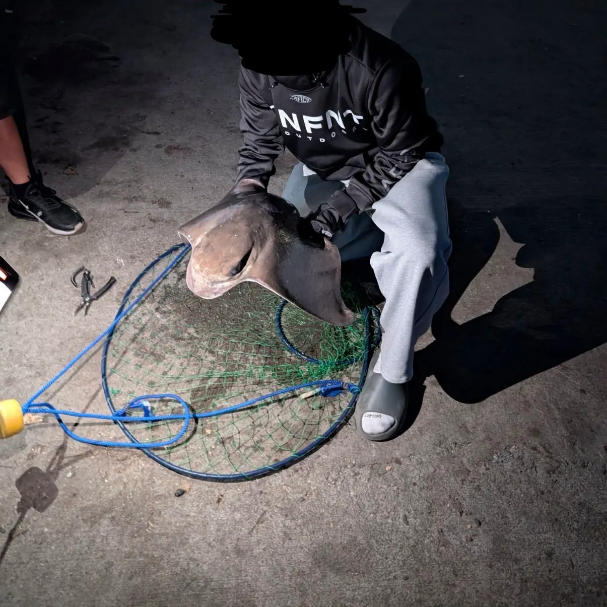 The most recent Bat eagle ray catches on Fishbrain