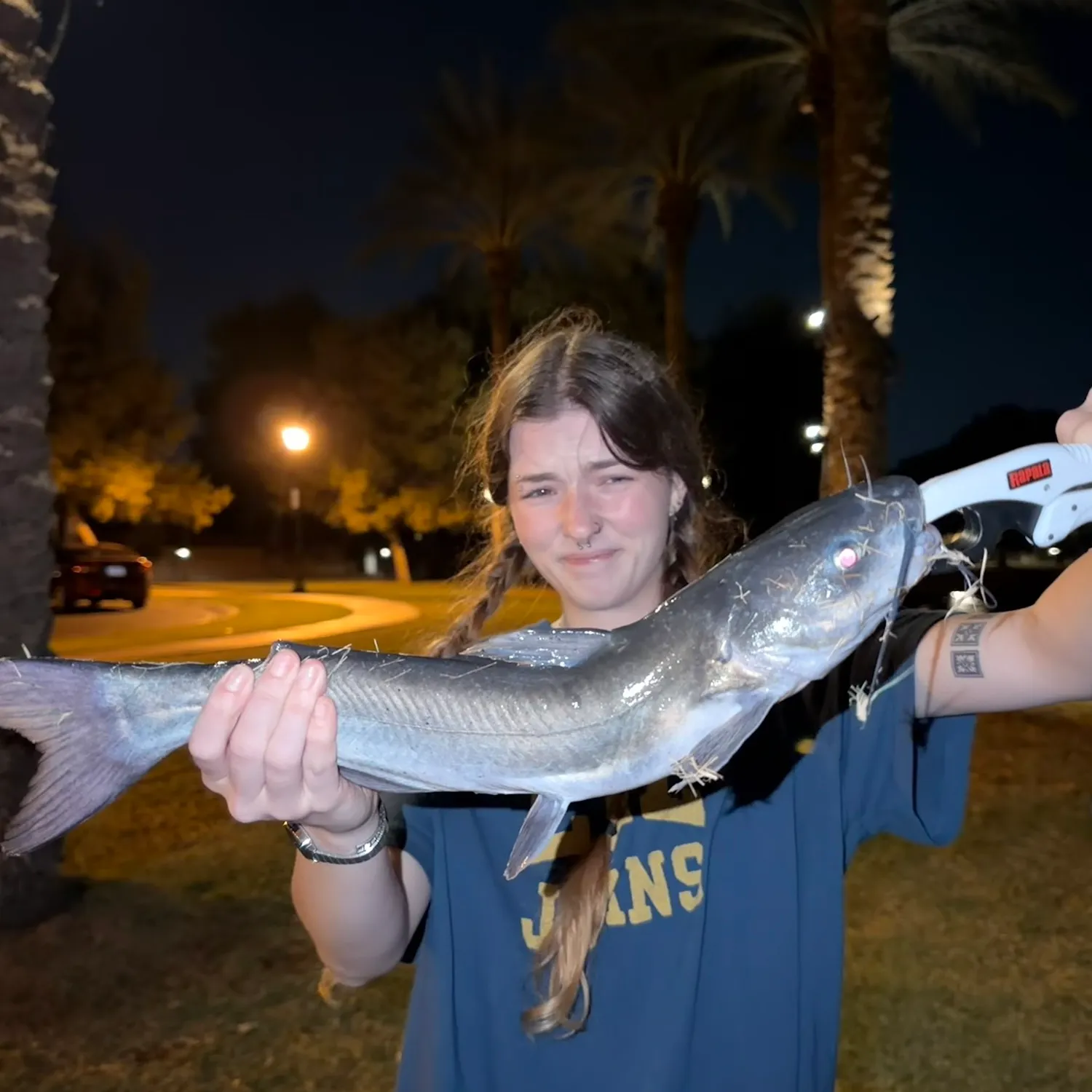 Channel catfish caught on Fishbrain