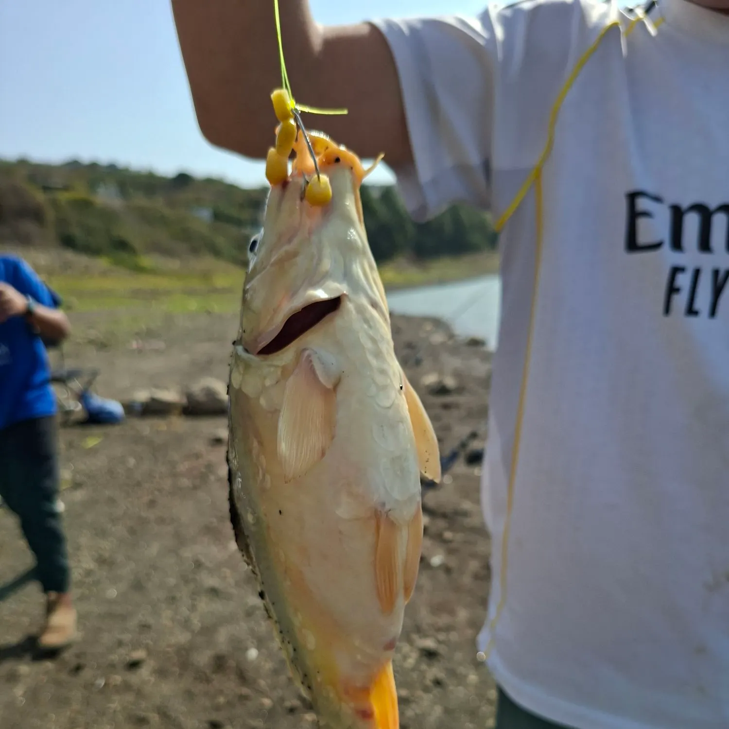 Fish caught on Fishbrain