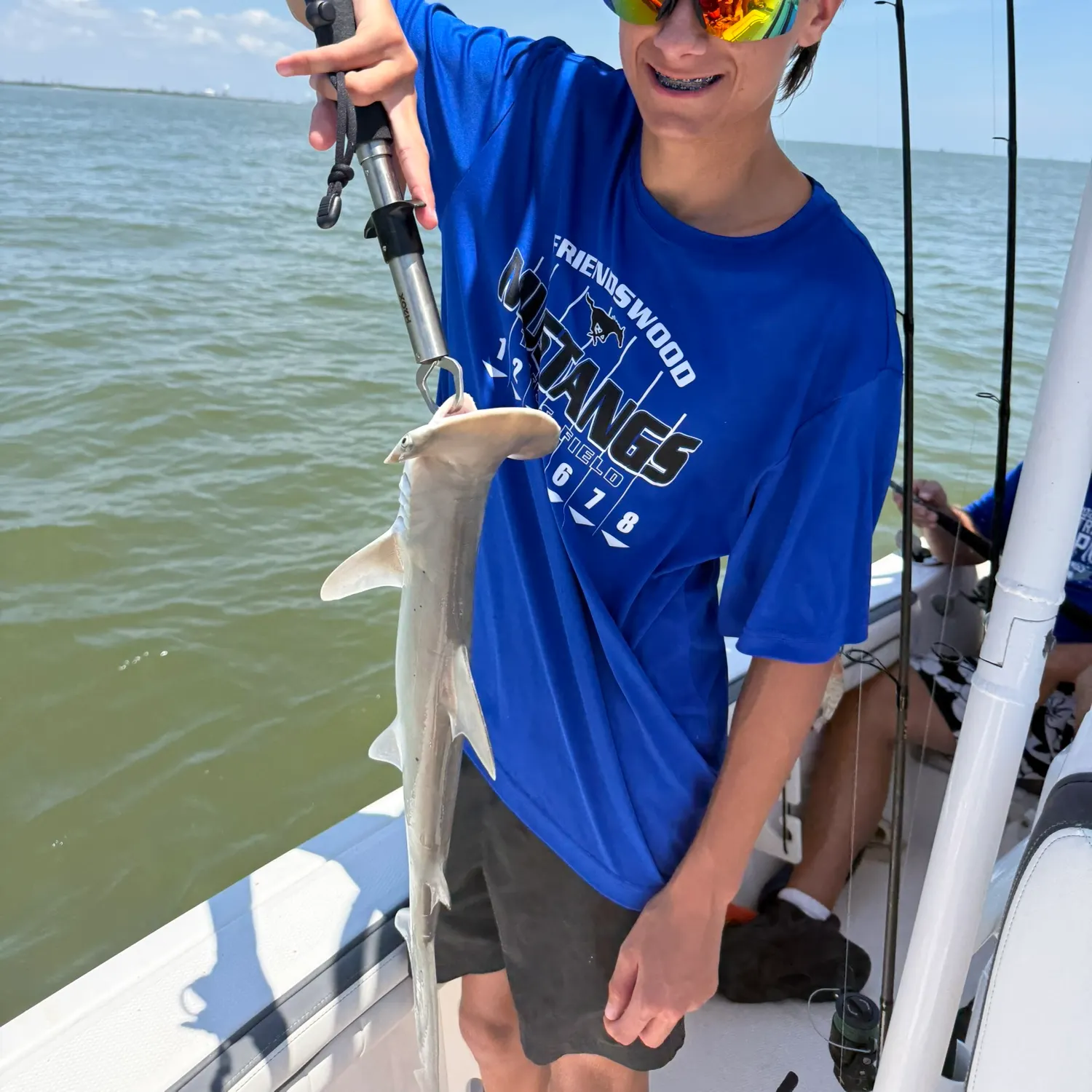 The most recent Smooth hammerhead shark catches on Fishbrain