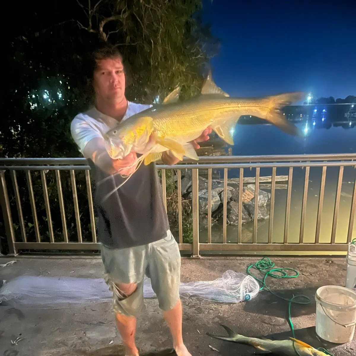 The most recent King threadfin catches on Fishbrain