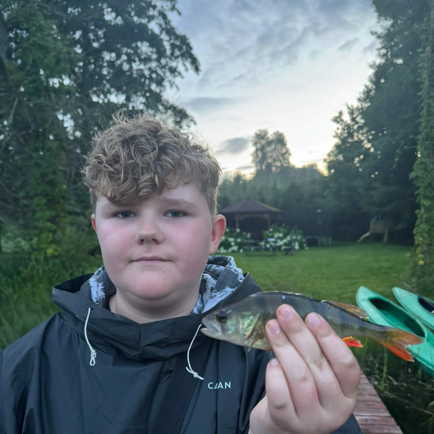 European perch caught on Fishbrain