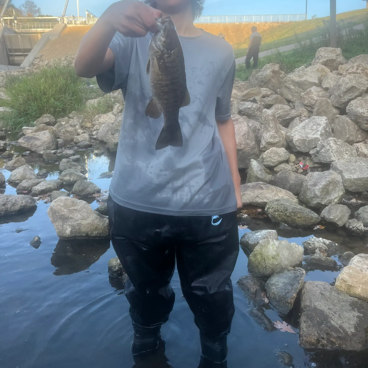Smallmouth bass caught on Fishbrain