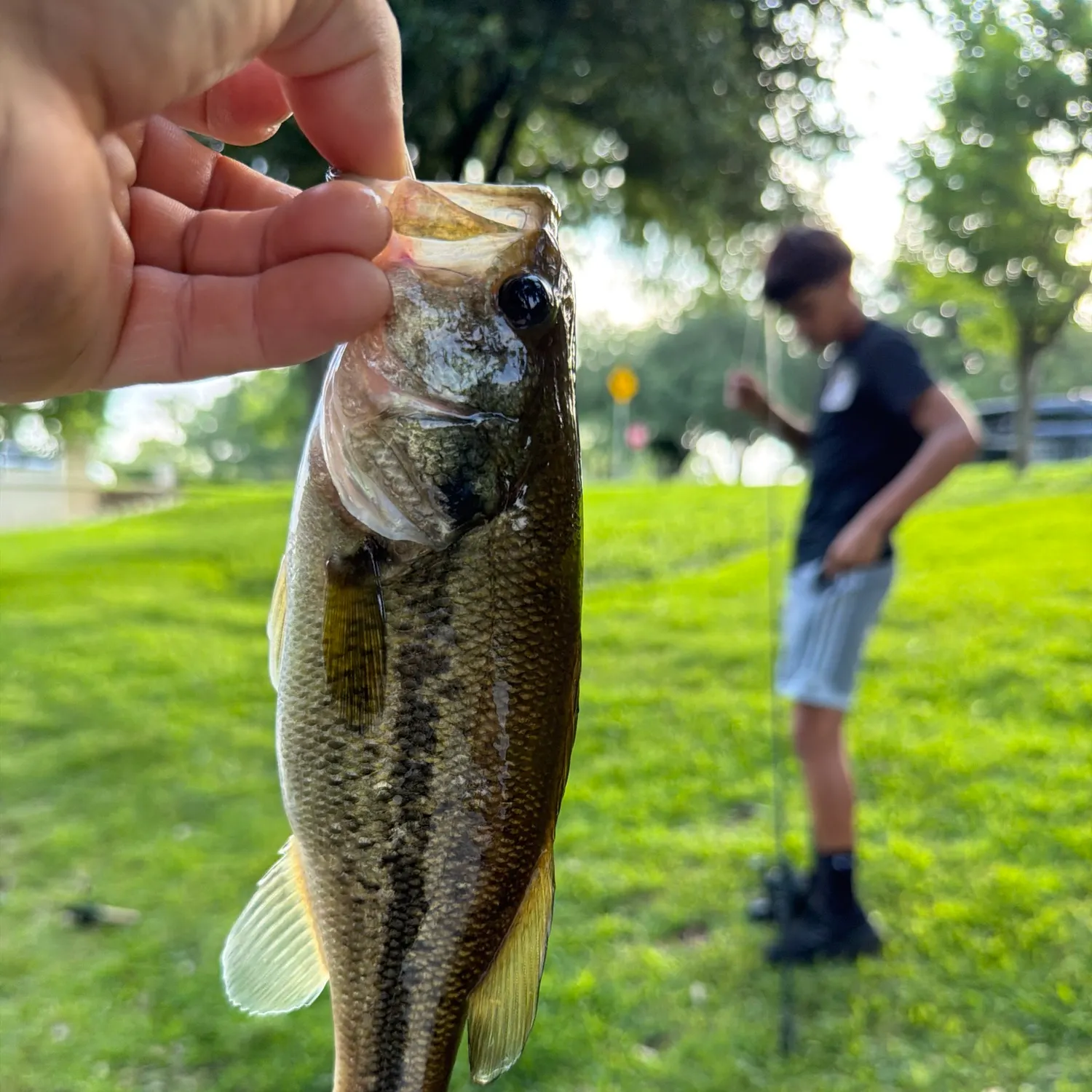 catch