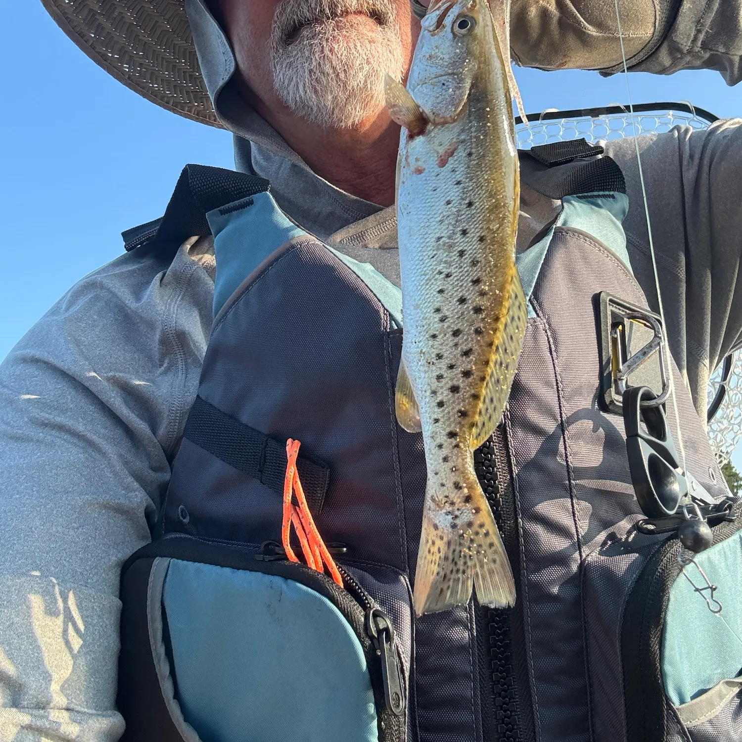 Spotted seatrout caught on Fishbrain
