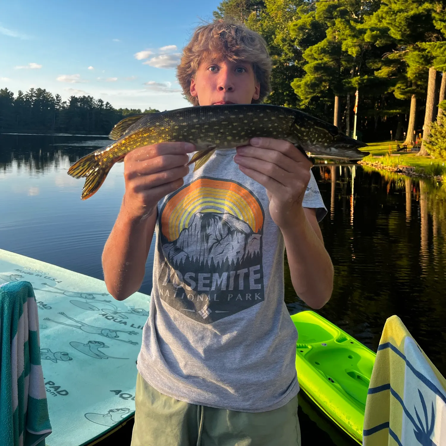 Northern pike caught on Fishbrain