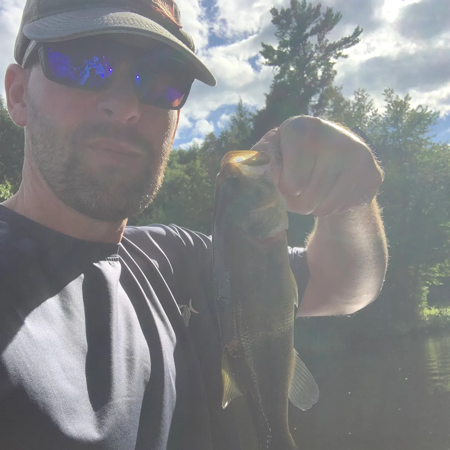 Largemouth bass caught on Fishbrain