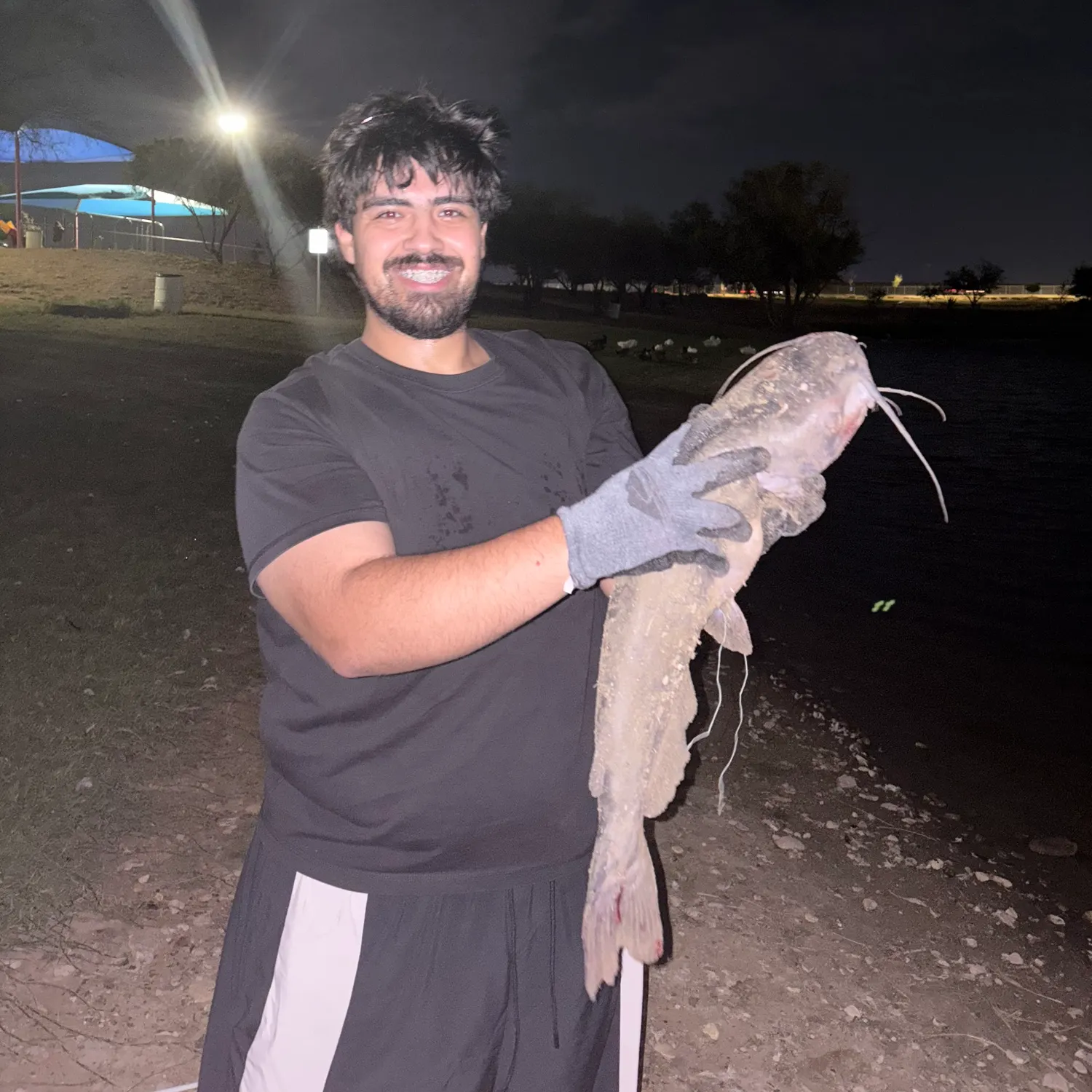 Channel catfish caught on Fishbrain