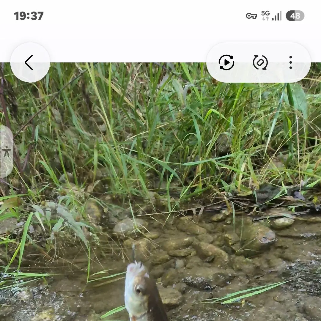 Fish caught on Fishbrain
