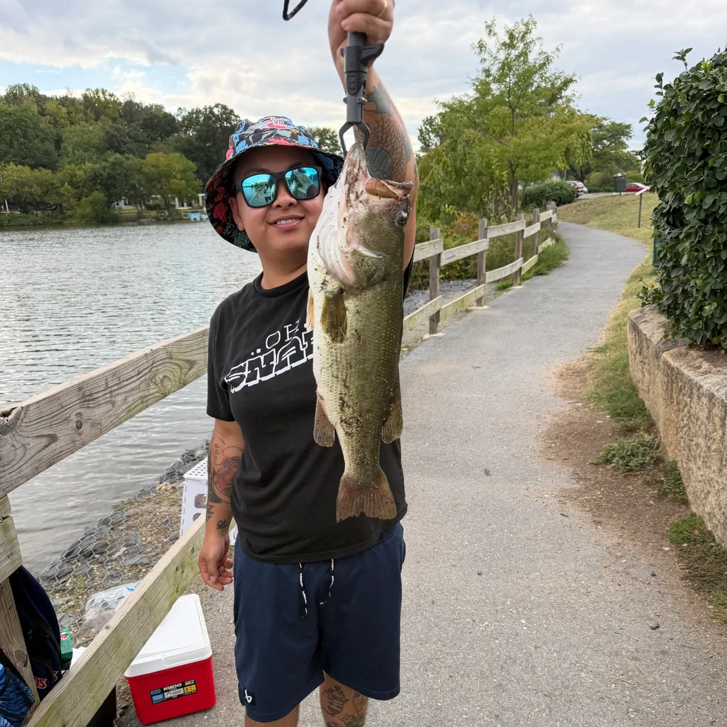 Largemouth bass caught on Fishbrain