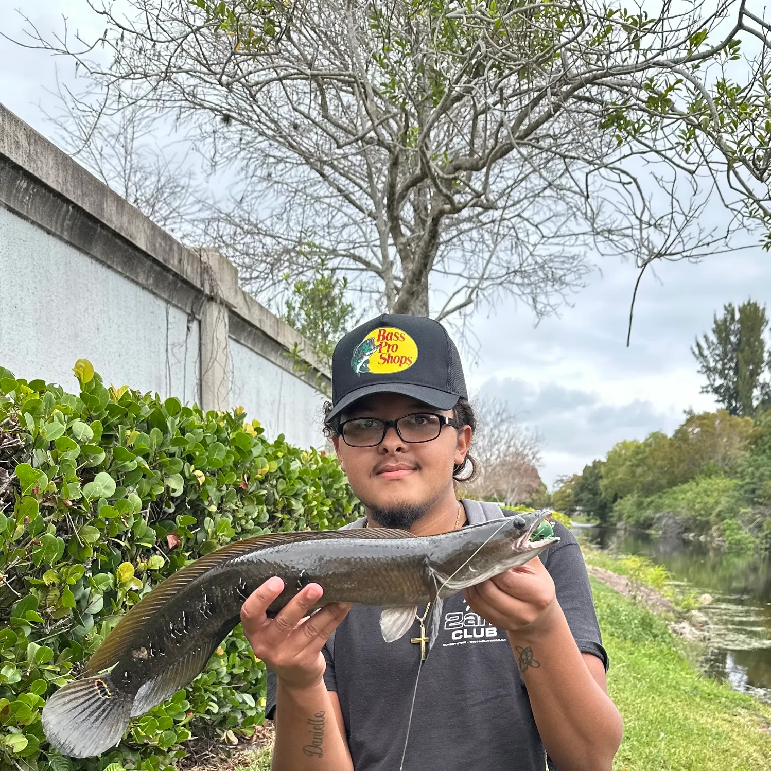 The most recent Bullseye snakehead catches on Fishbrain
