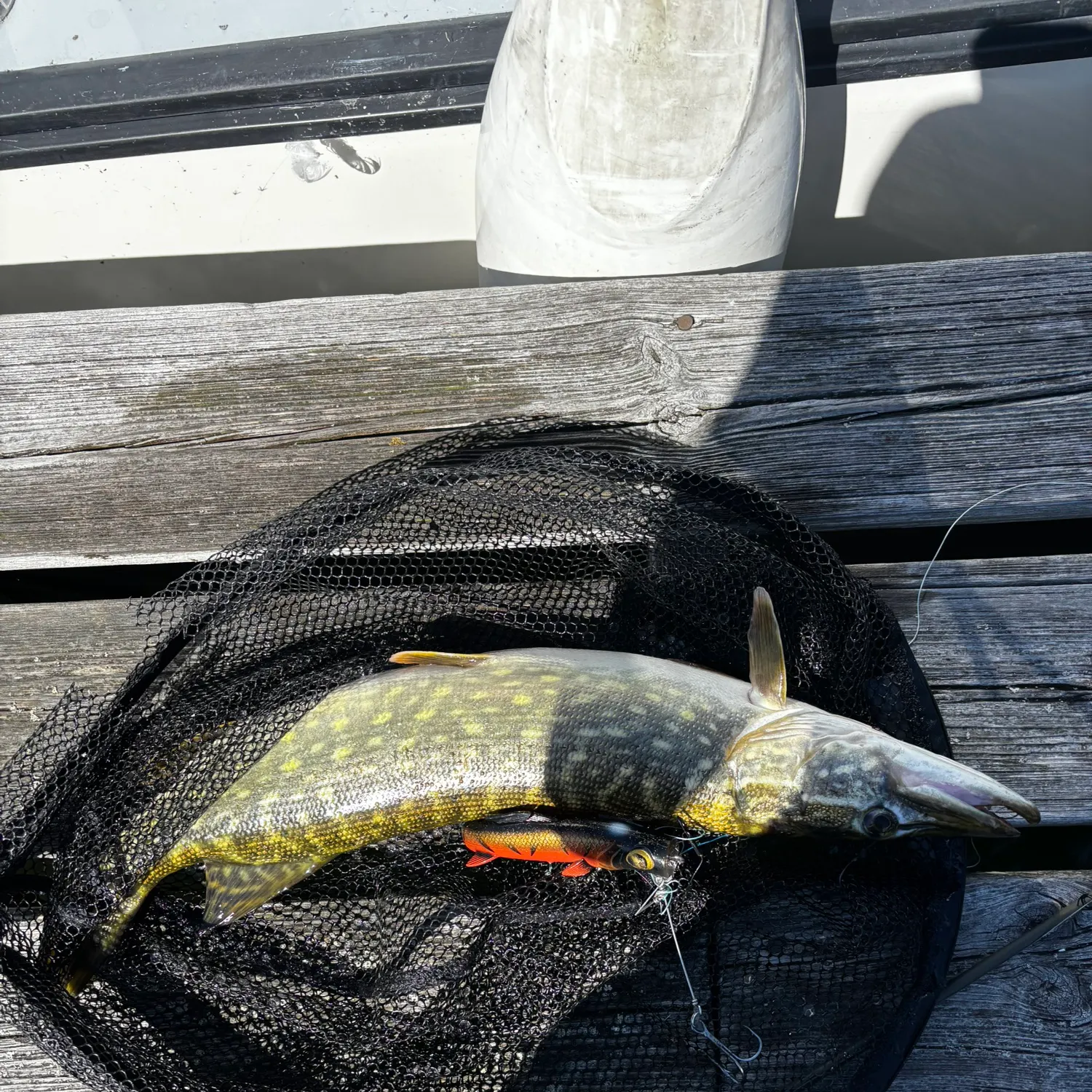 catch
