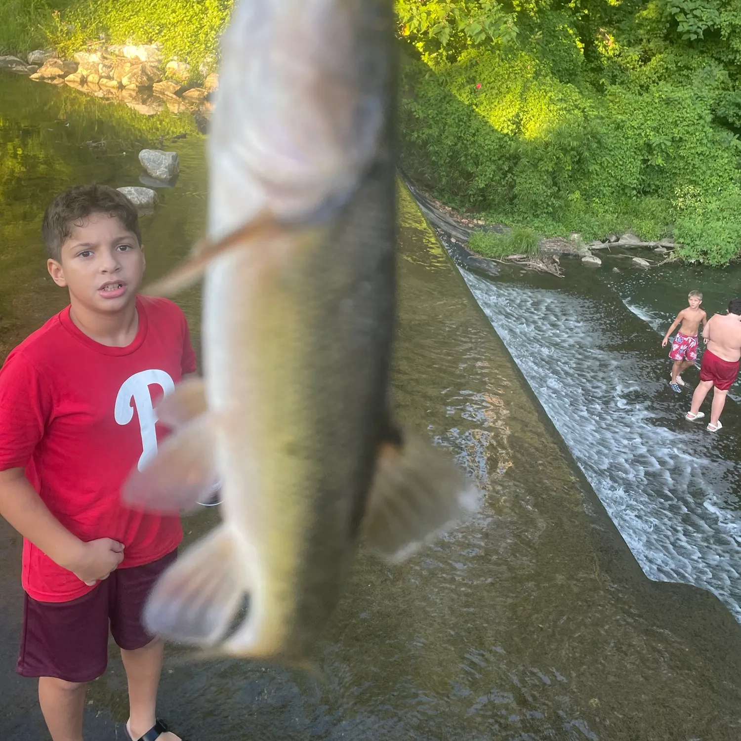 Rainbow trout caught on Fishbrain