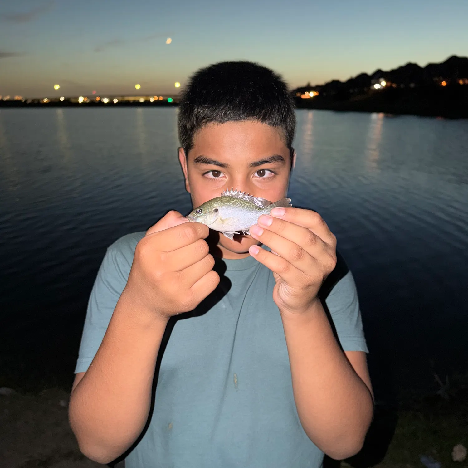 The most recent Longear x green sunfish catches on Fishbrain