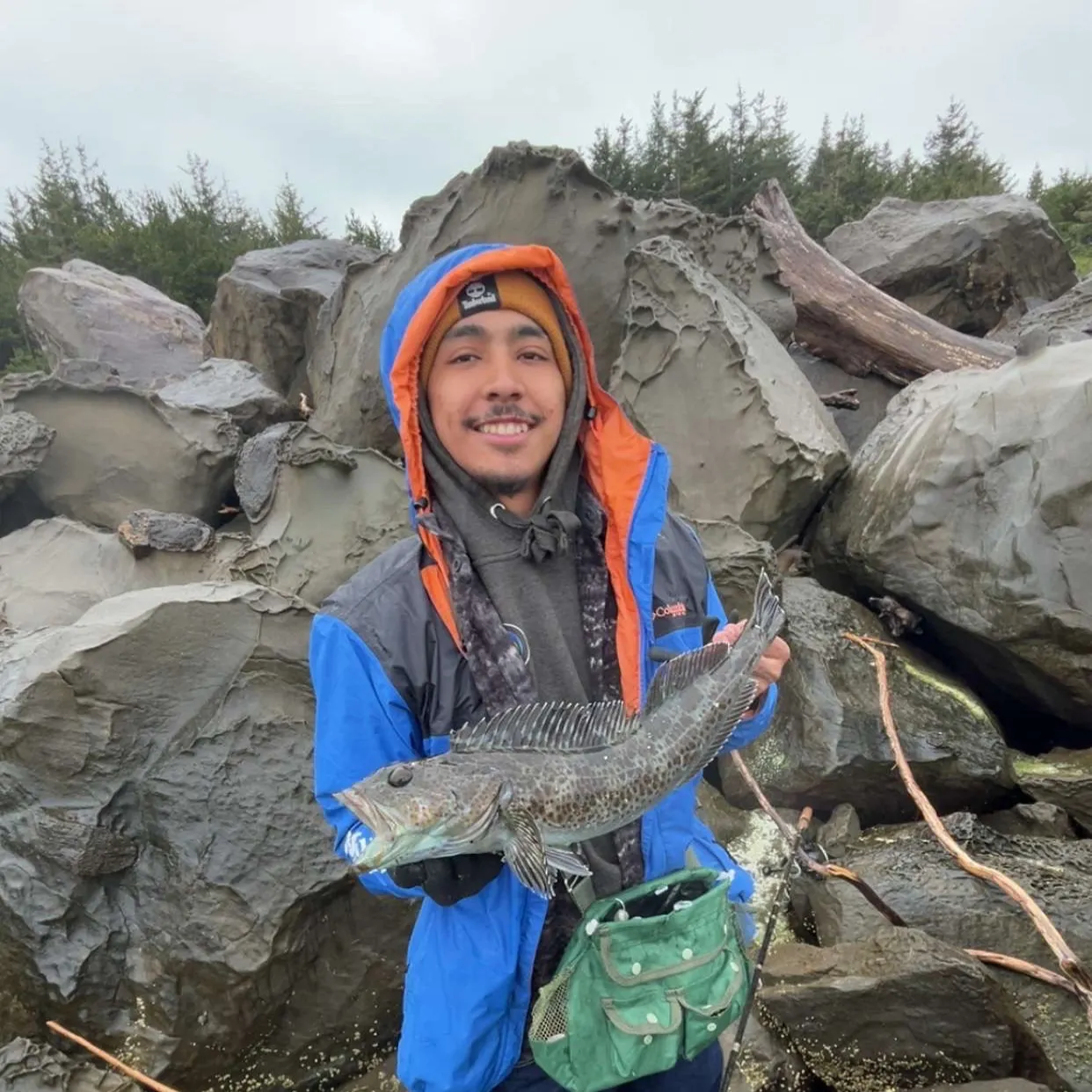 The most recent Lingcod catches on Fishbrain