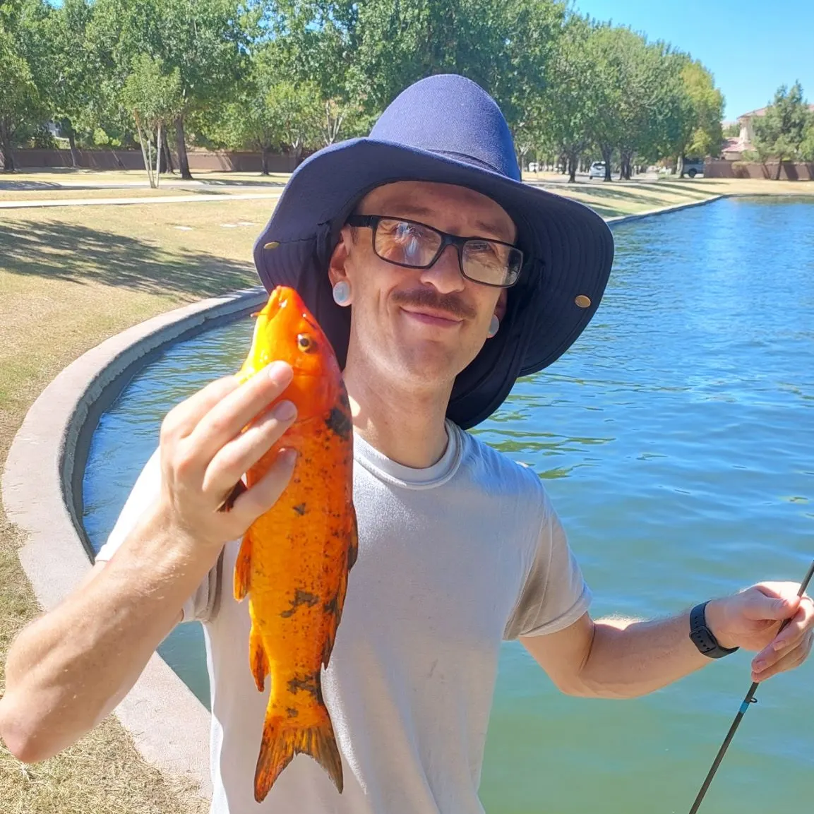 The most recent Koi carp catches on Fishbrain