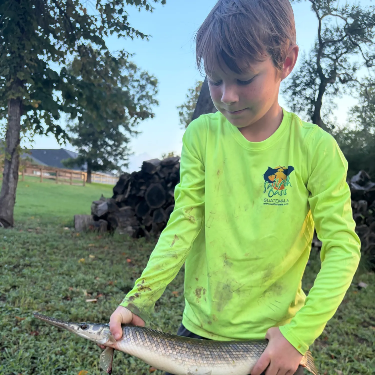 Spotted gar caught on Fishbrain
