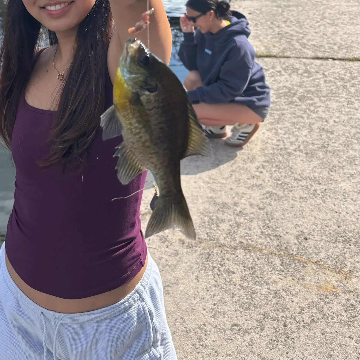 Bluegill caught on Fishbrain