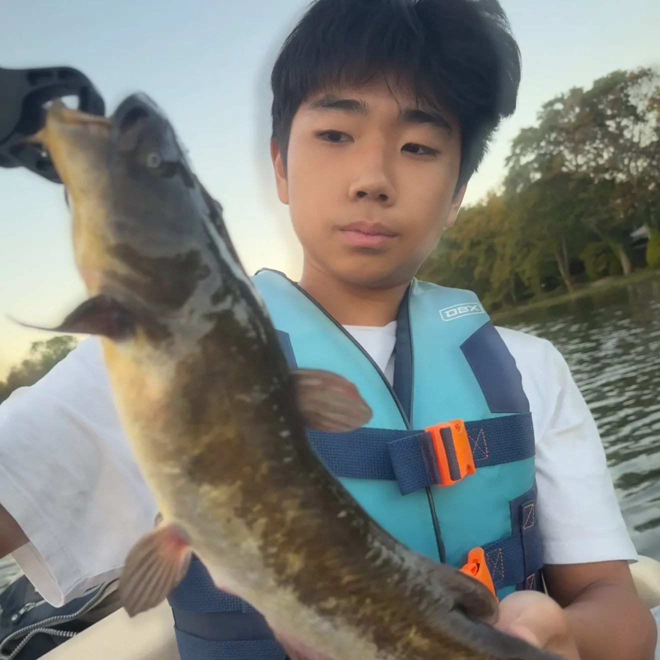 The most recent Yellow bullhead catches on Fishbrain