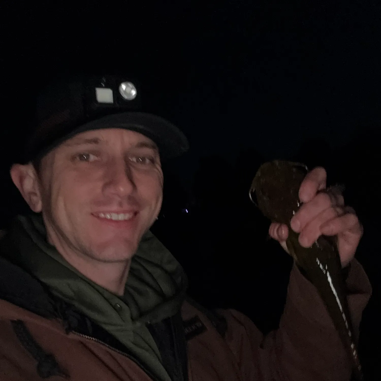 Yellow bullhead caught on Fishbrain