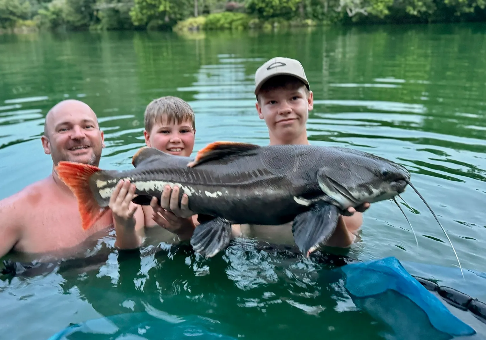 Redtail catfish