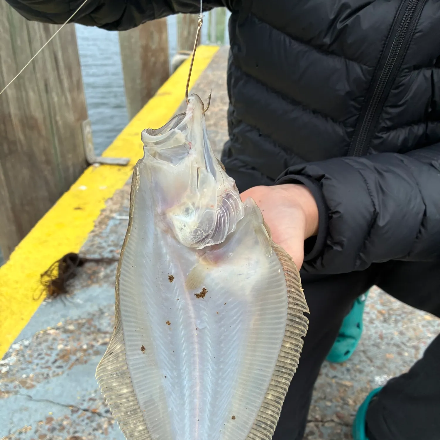 Smalltooth flounder caught on Fishbrain