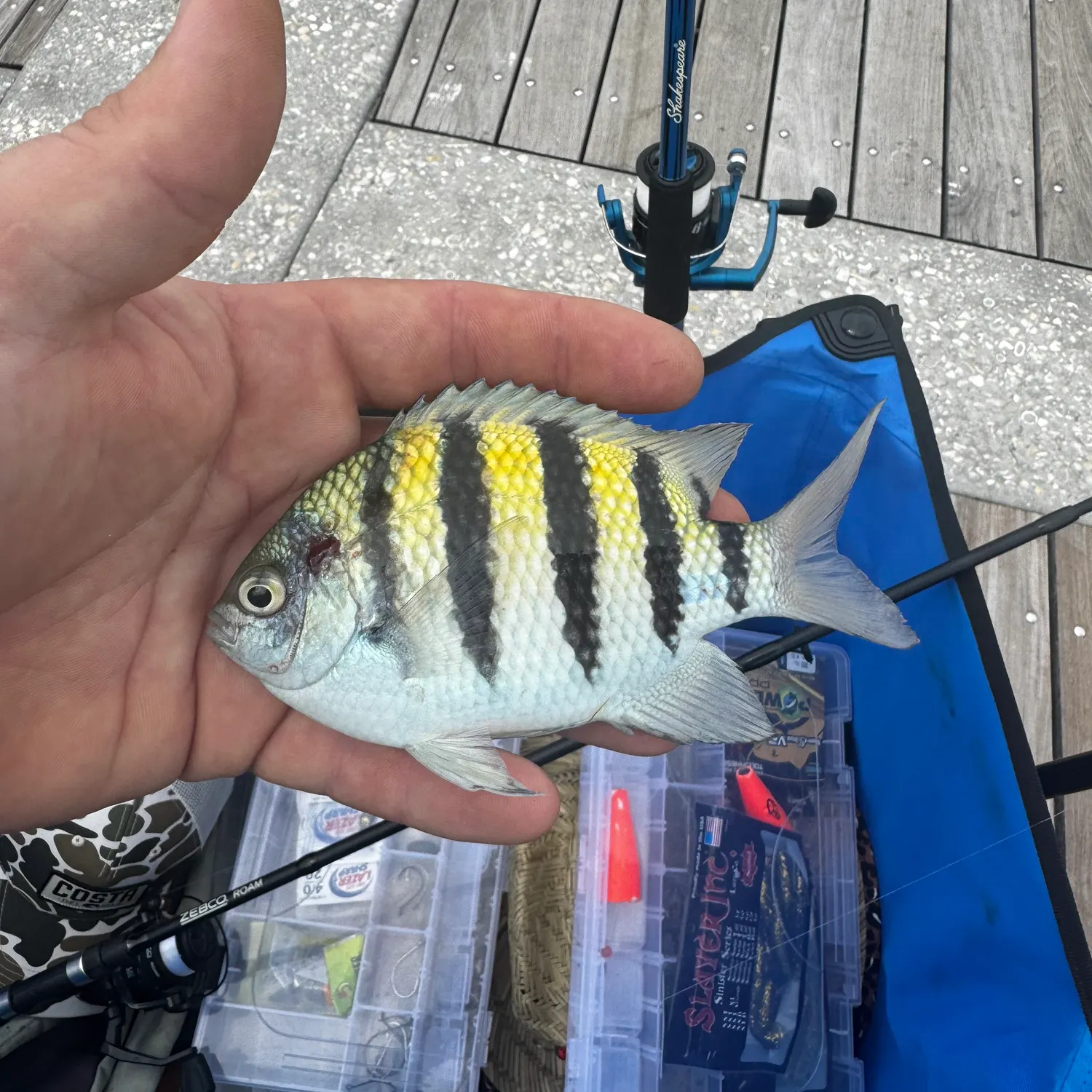 most liked catch image