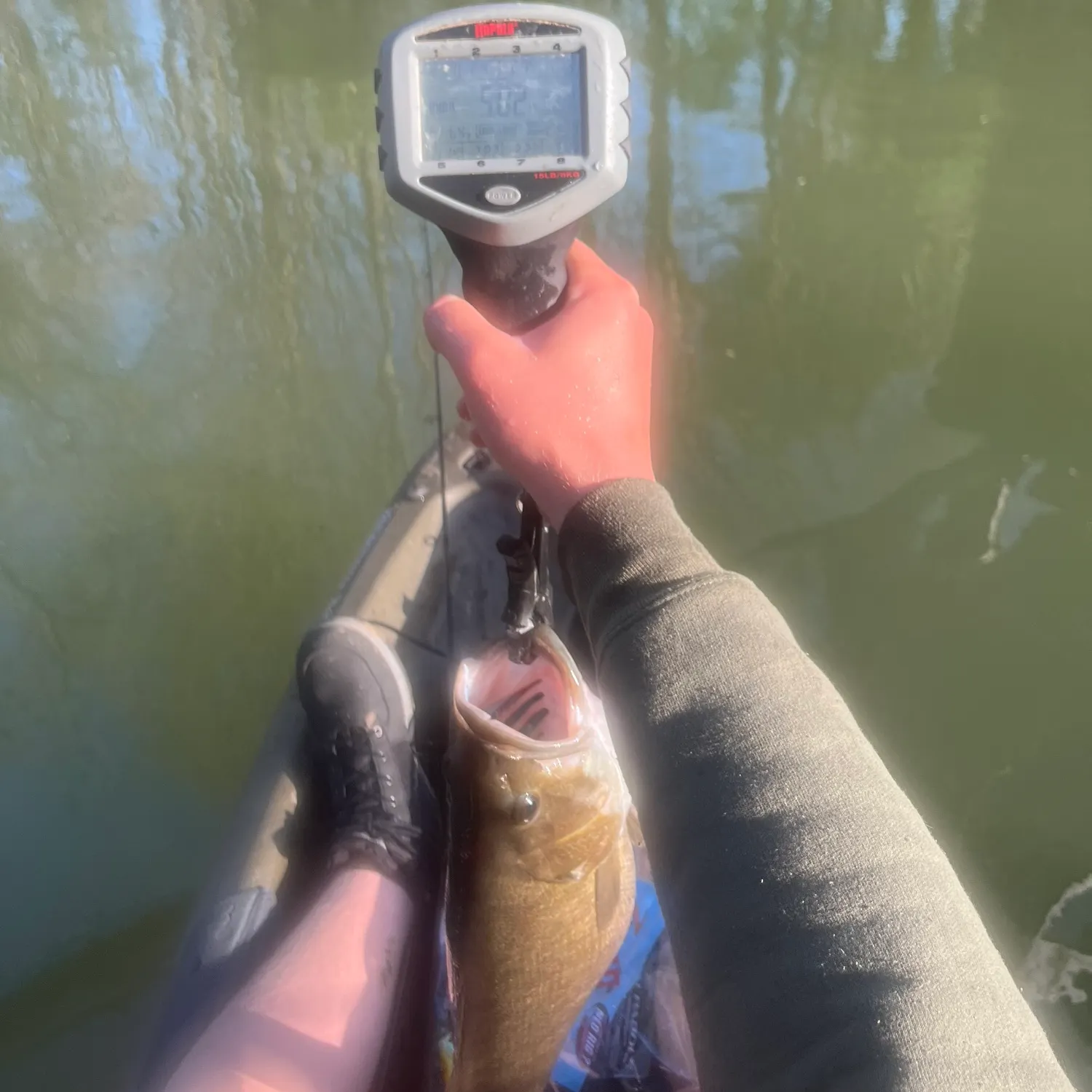 angler catch