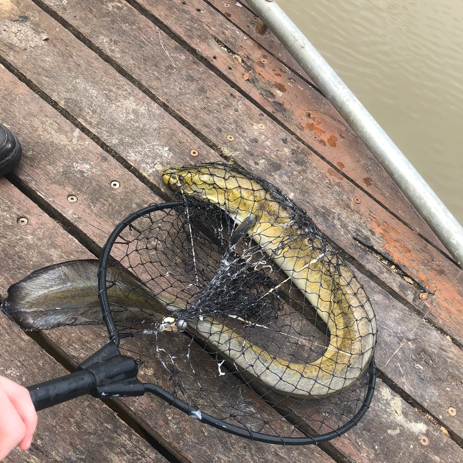 catch