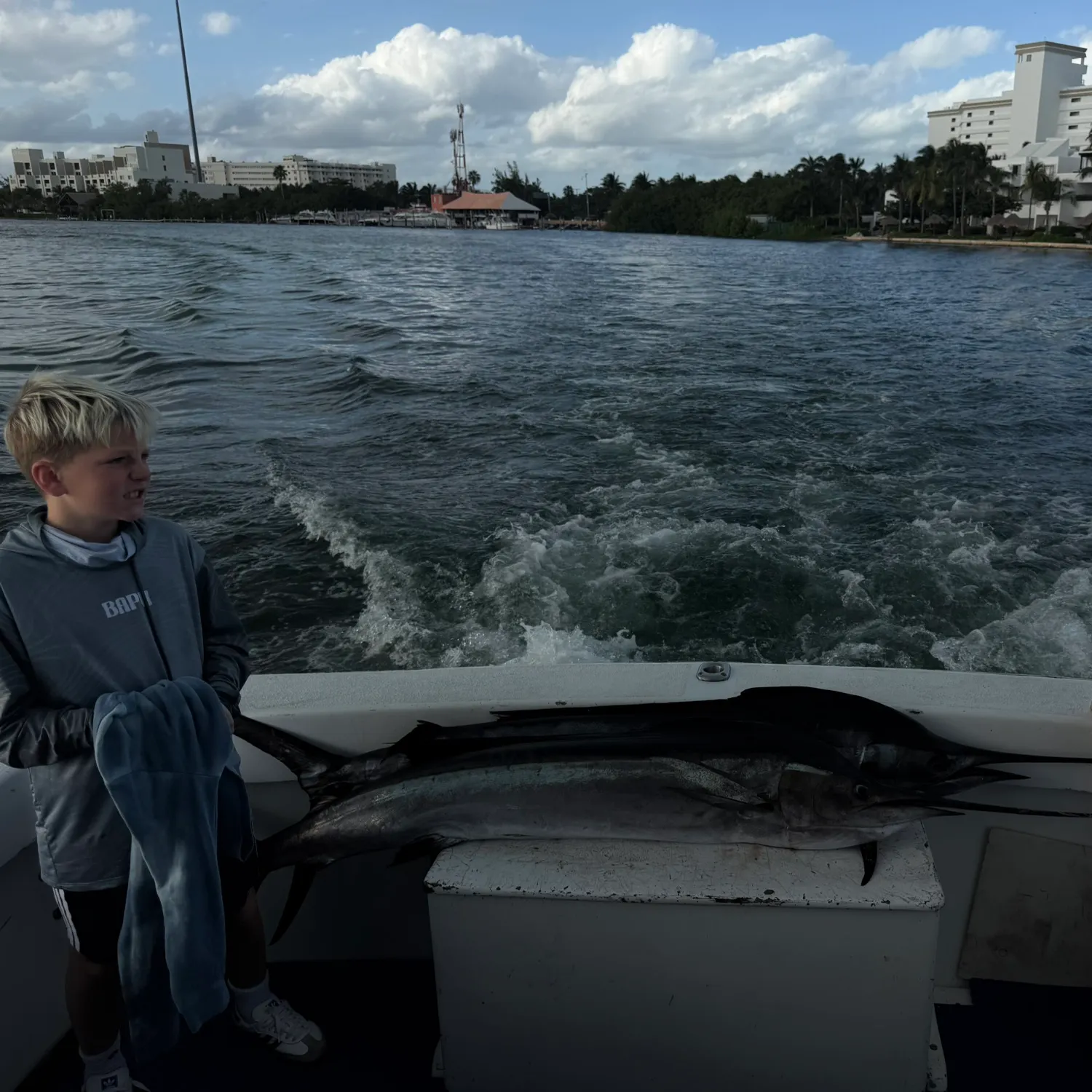The most recent Atlantic sailfish catches on Fishbrain