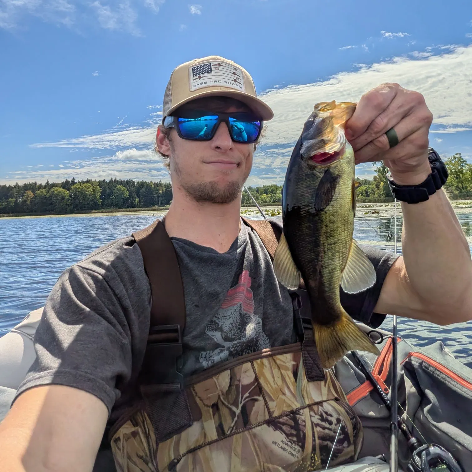 Largemouth bass caught on Fishbrain