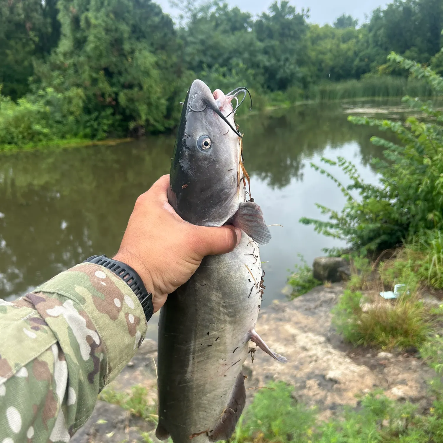 catch