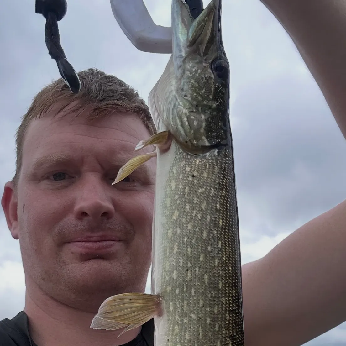 Northern pike caught on Fishbrain