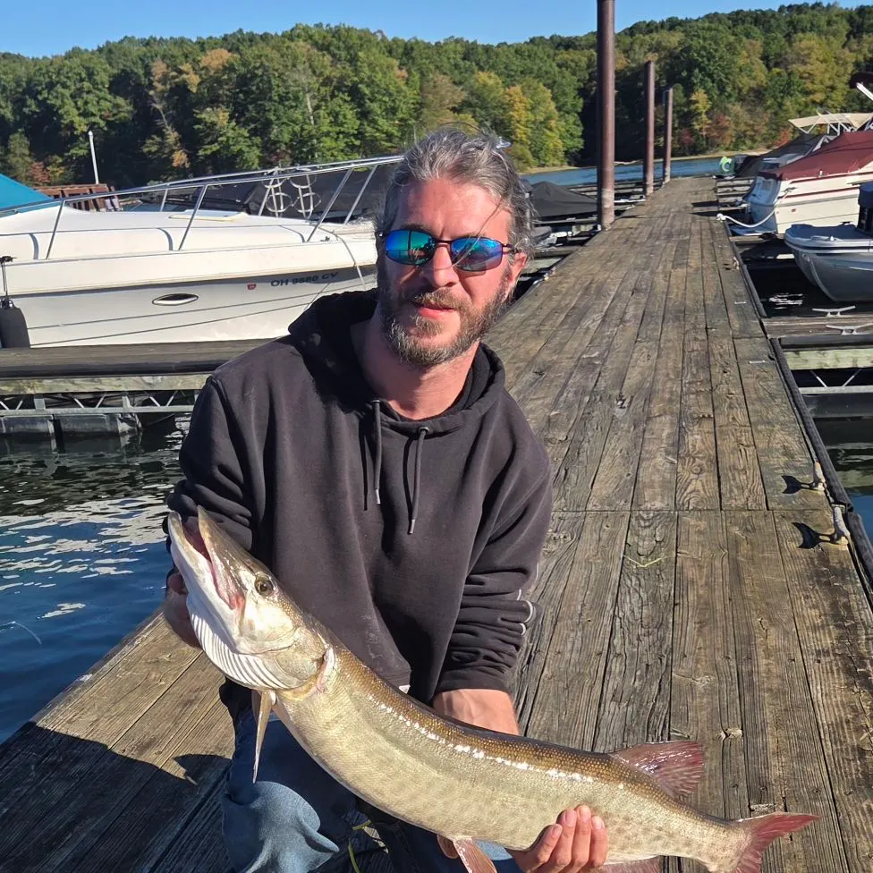 Muskie caught on Fishbrain